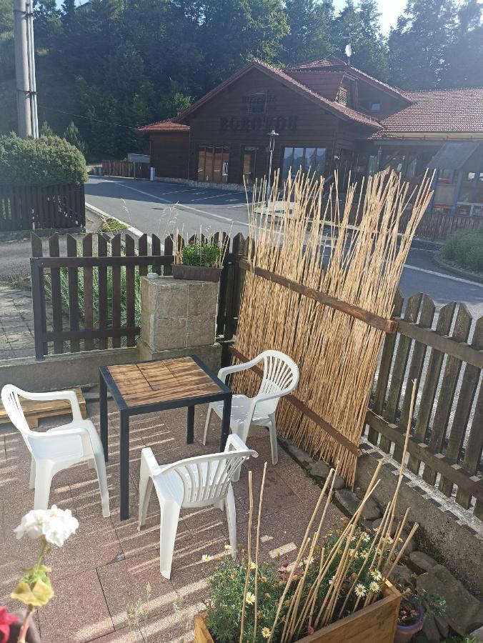 Frýdlant nad OstravicíApp Pod Borovou公寓 外观 照片